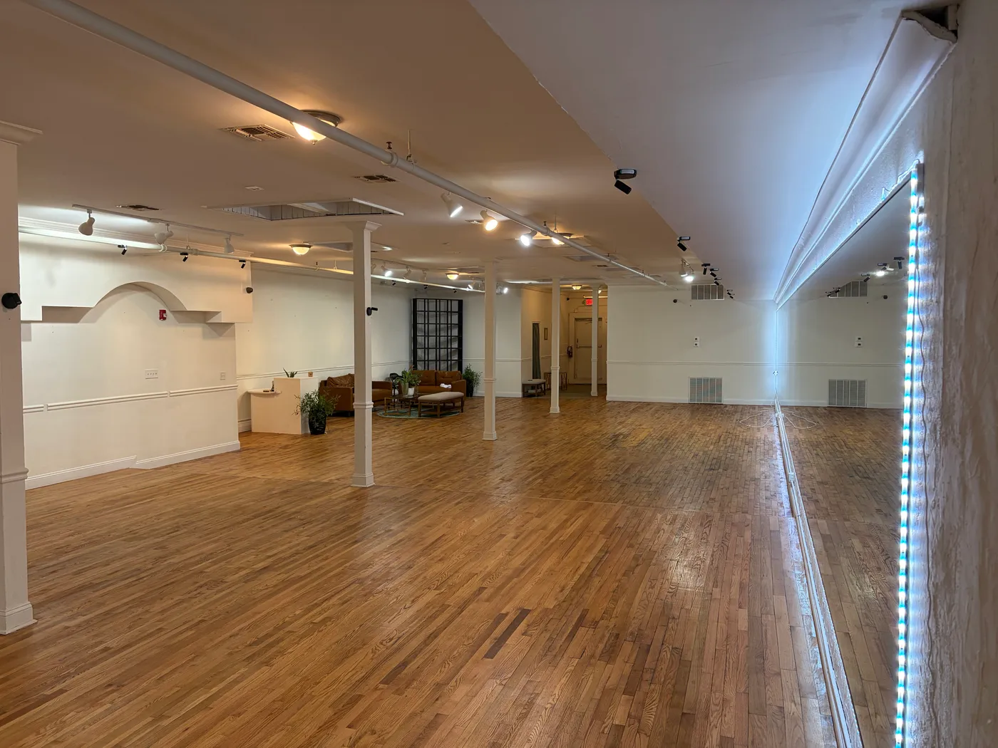 The length of the studio looking toward the lounge corner with sofas and plants